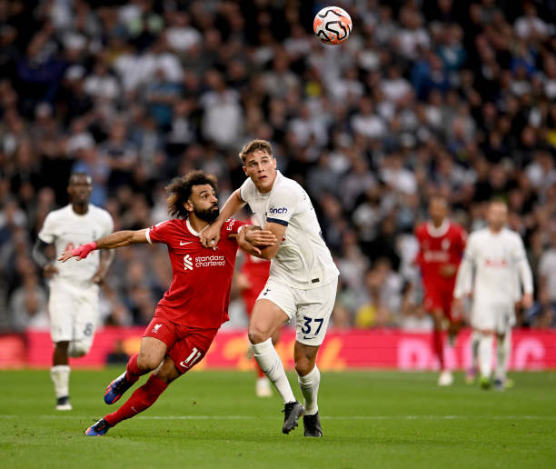 确定性或许 确定性或许